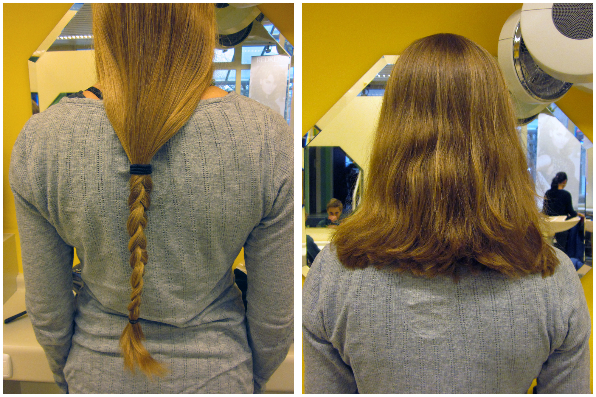 Locks Of Love Schatzi